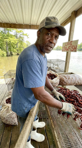 237 b crawfish up.jpg