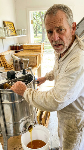 047 w ned honey up.jpg