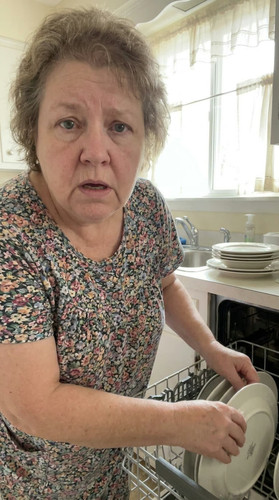 033 dishwasher up.jpg
