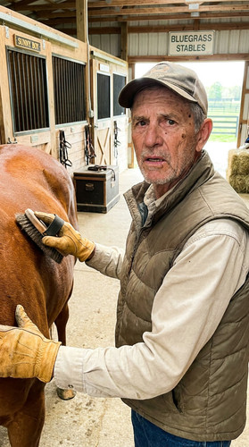 392 w garrett horse up.jpg