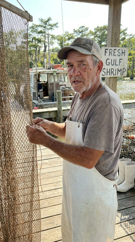 394 w odell shrimp up.jpg