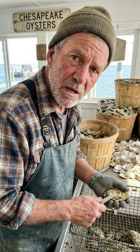 n002 w oysterman up.jpg
