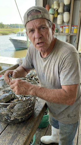 n006 w blue crab up.jpg