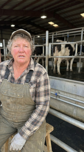 kie states jun3 d 20 ca central dairy up.jpg