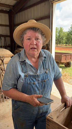 36 ga peanut farm wwH 3 up.jpg