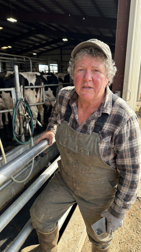 20 ca central dairy up.jpg