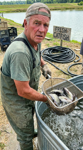 234 w catfish pond up.jpg