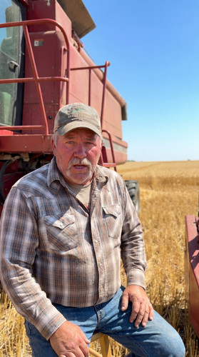 kie states jun3 d bright n52 kansas wheat combine up.jpg