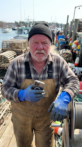 n50 maine lobster dock up.jpg
