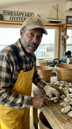 125 b rufus oyster up.jpg
