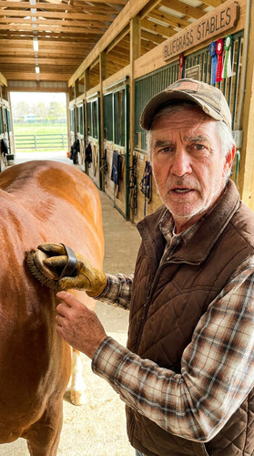 122 w garrett horse up.jpg