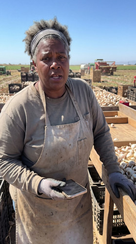 u010 ca garlic farm up.jpg