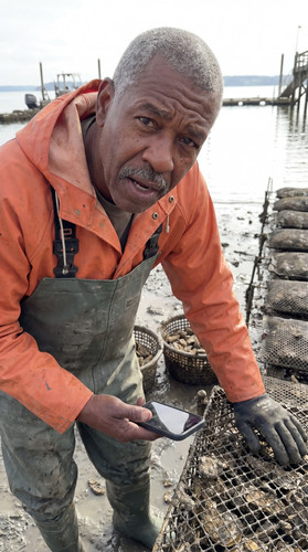 u012 wa oyster farm up.jpg