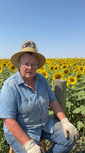 kie states jun3 d bright u016 sd sunflower farm up.jpg