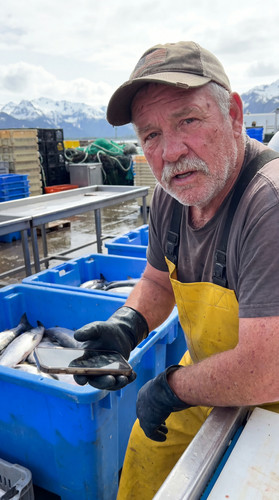 n63 alaska salmon cannery up.jpg