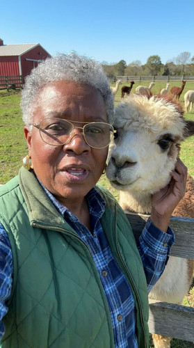 e02 loretta alpaca farm up.jpg