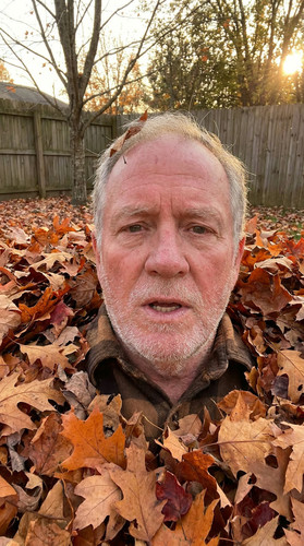 d02 earl leaf pile up.jpg