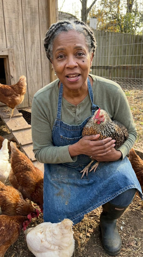 e05 gwendolyn backyard chickens up.jpg