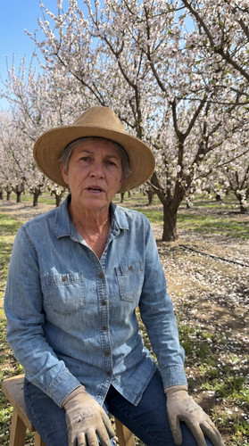 kie states jun3 d bright u009 ca almond orchard up.jpg