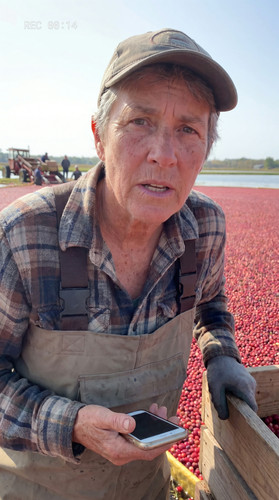 u022 wi cranberry bog up.jpg