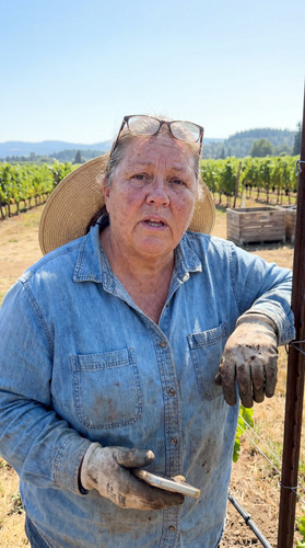 n56 oregon vineyard up.jpg