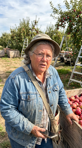 u004 wa apple orchard up.jpg