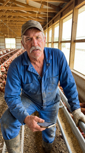 u032 ga poultry farm up.jpg
