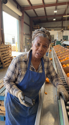 u077 ca citrus packing up.jpg