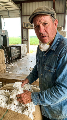 143 w cotton gin up.jpg