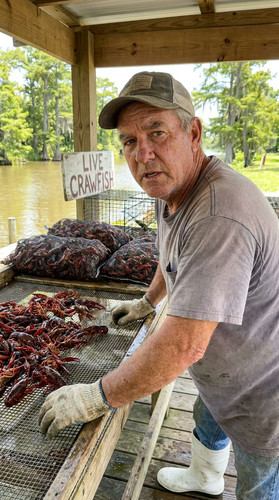 147 w crawfish up.jpg