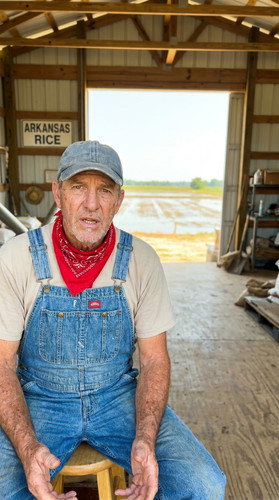 146 w rice farm up.jpg