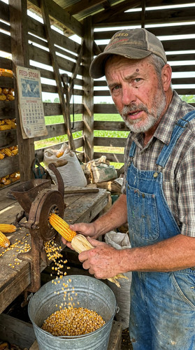 316 w homer corn up.jpg