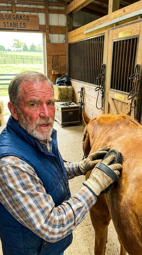 302 w garrett horse up.jpg