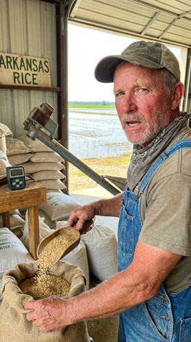 326 w rice farm up.jpg