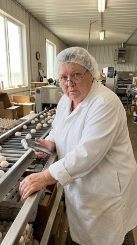 u087 ia egg farm up.jpg