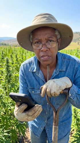 u081 co hemp farm up.jpg