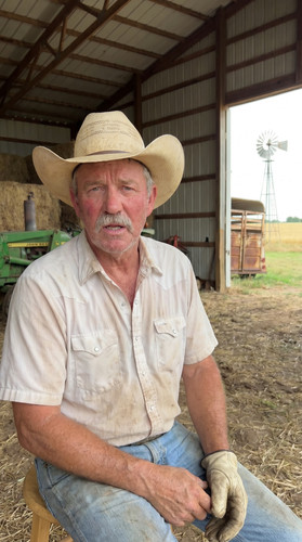 kie states jun3 b 23 ok wheat cattle w up.jpg