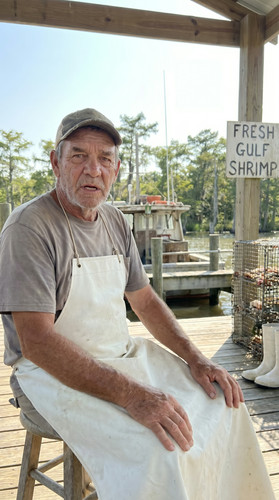 394 w odell shrimp up.jpg