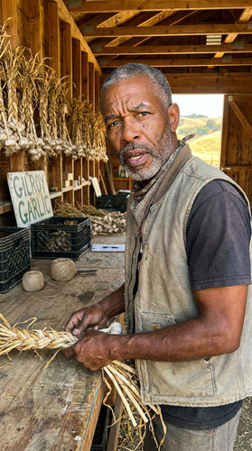 n017 b garlic up.jpg
