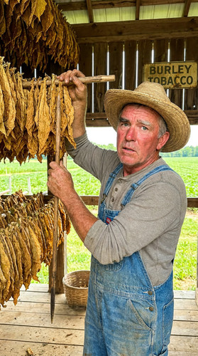 n010 w tobacco up.jpg