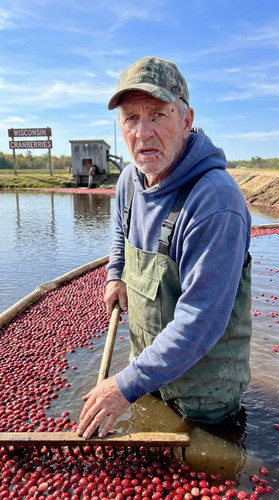 n008 w cranberry up.jpg