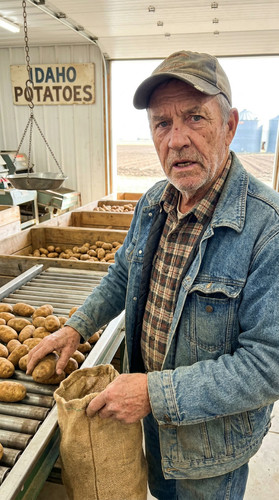 n015 w potato up.jpg