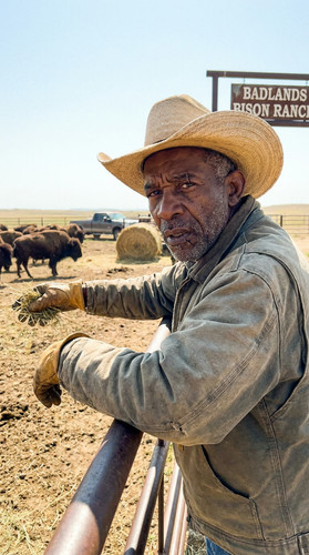 n029 b bison up.jpg