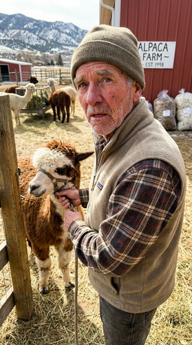 n030 w alpaca up.jpg