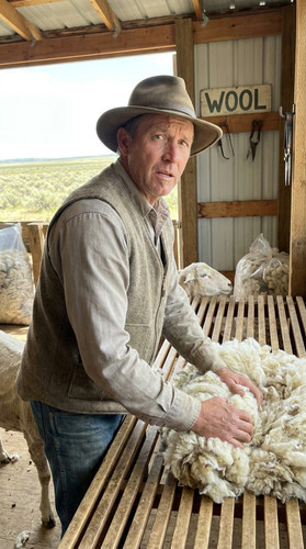 n027 w sheep shear up.jpg