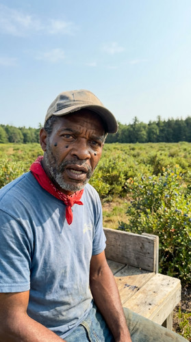 n009 b blueberry up.jpg