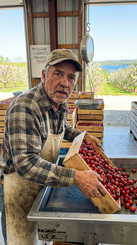 n019 w cherry up.jpg