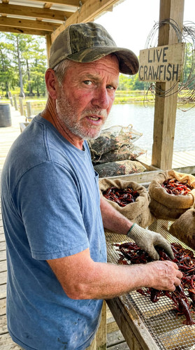 327 w crawfish up.jpg