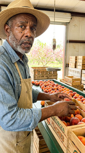 345 b peach orchard up.jpg