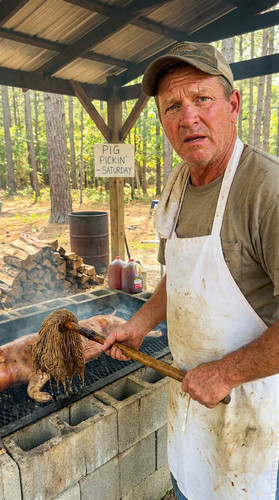 351 w whole hog up.jpg